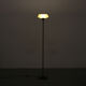 1980s floor lamp by Aureliano Toso from Italy