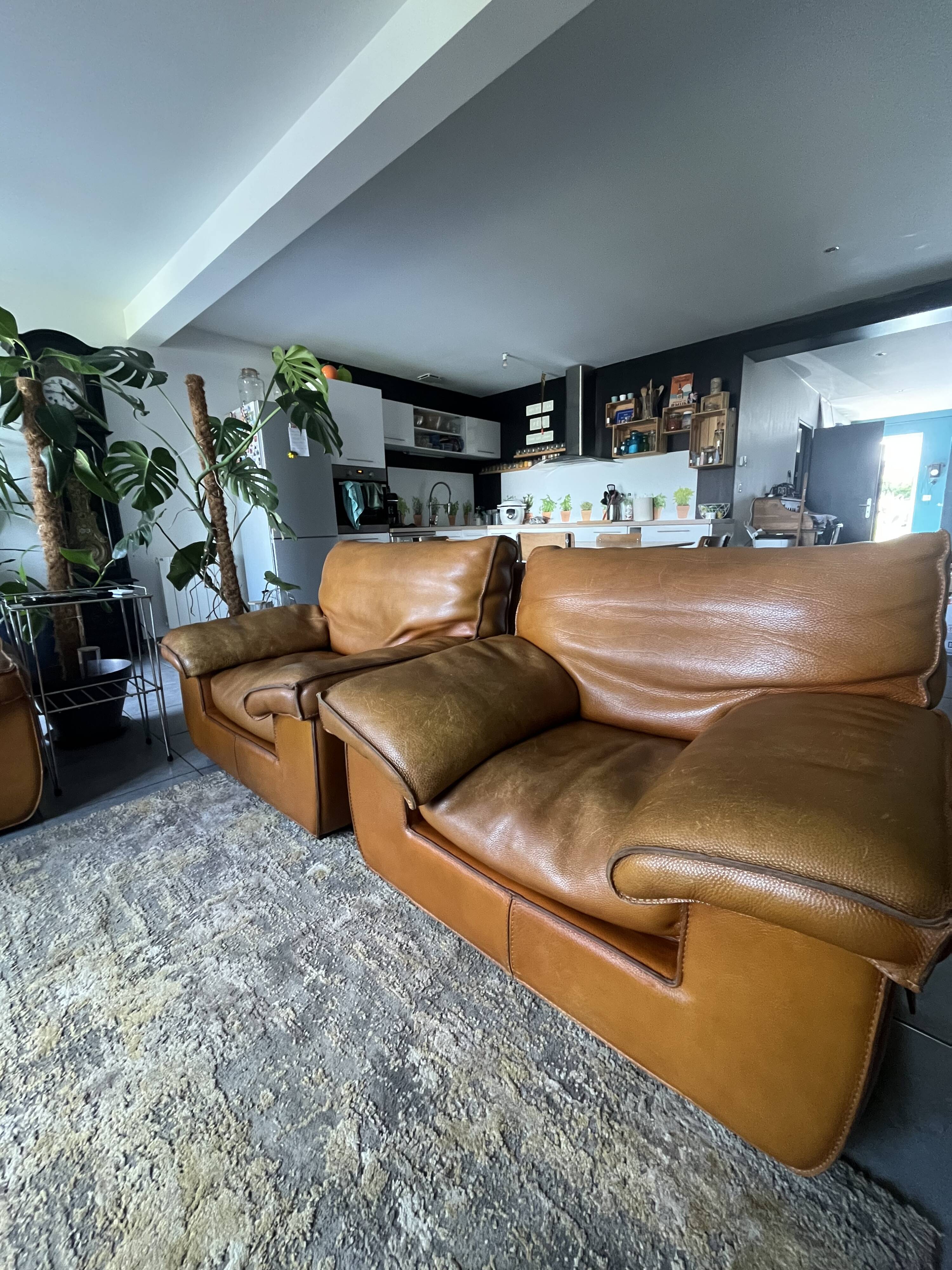 Salon cuir vintage Roche Bobois - Canapé + 2 fauteuils + pouf