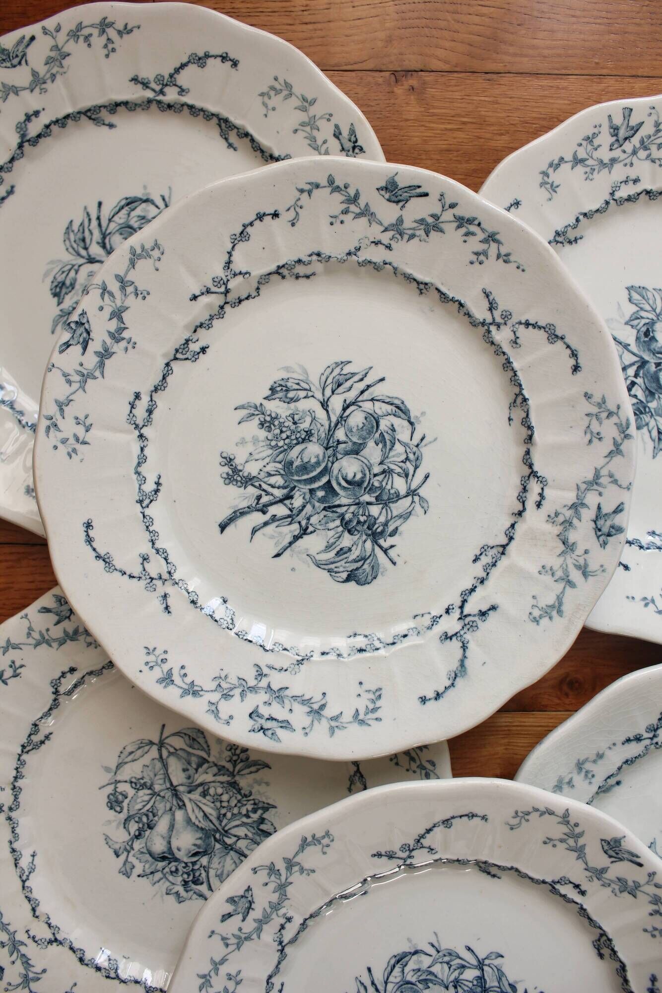 6 flat plates in iron earth Pompadour earthenware factory of Clairefontaine