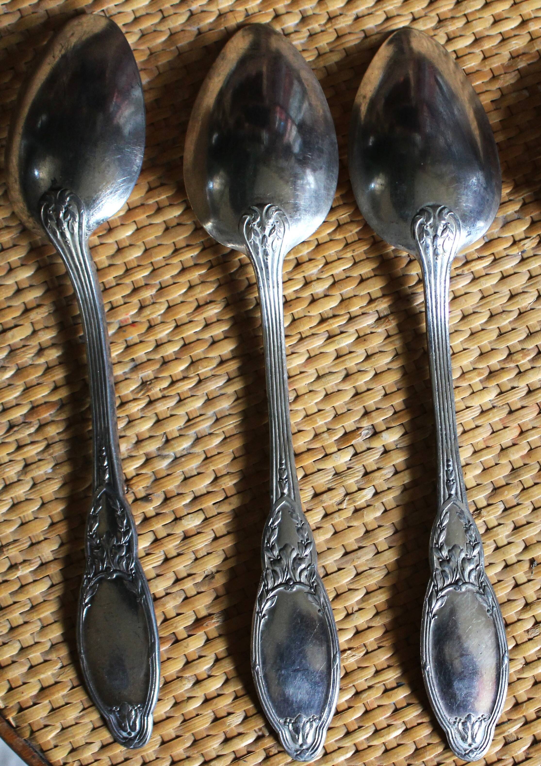 A set of 6 silver-plated metal soup spoons with foliage design.