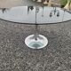 Table foot tulip smoked glass of the 70s by Gastone Rinaldi