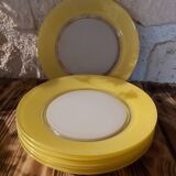 6 Duralex flat plates