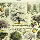 Botanical plate 1928 A. Millot - Orchard, fruit tree, garden, harvest