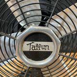 Fan Taifun year 70