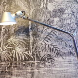 Tolomeo tavolo lamp with clamping vice