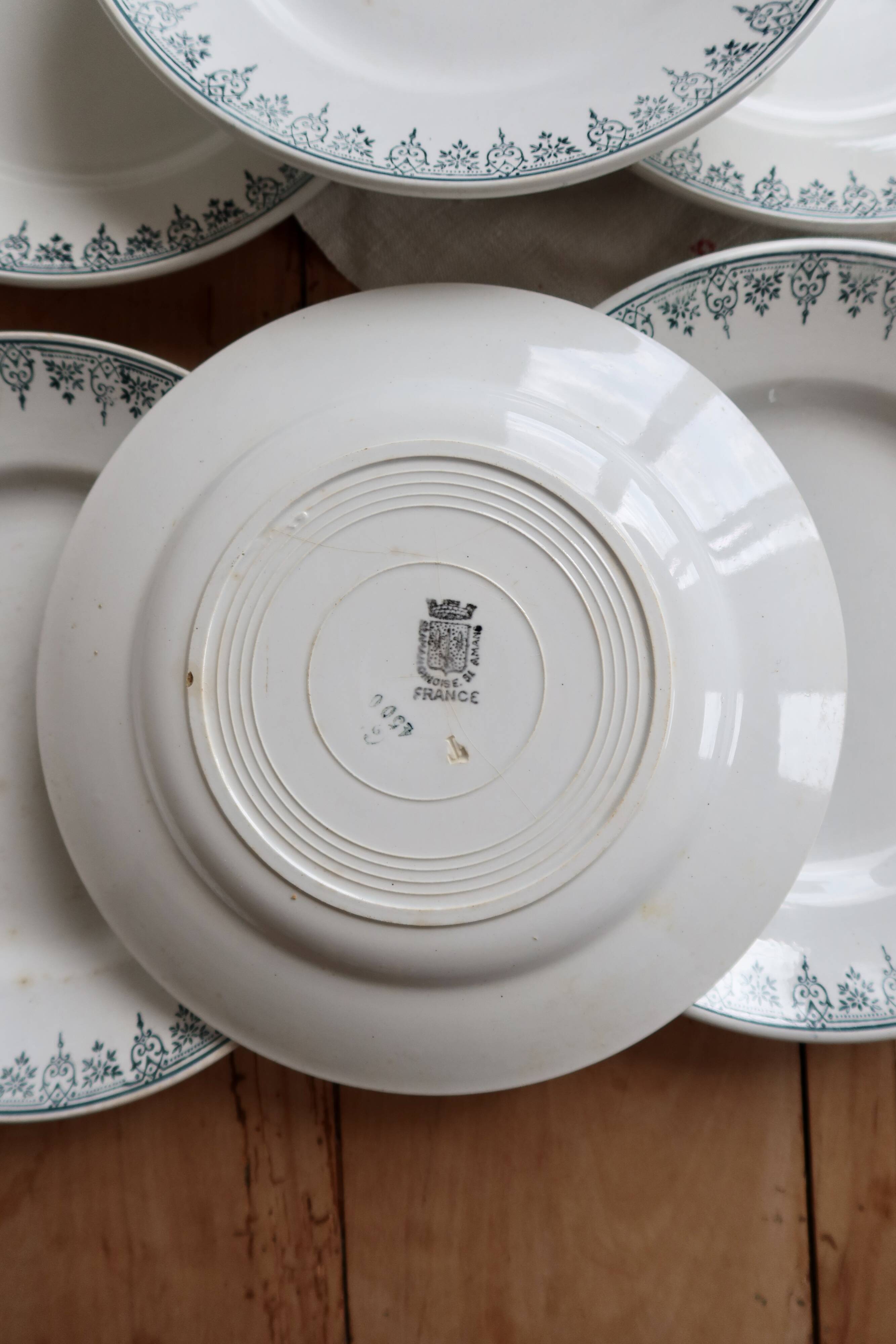 6 vintage plates from Terre de Ter Saint Amandinoise, Saint Amand model 4500.