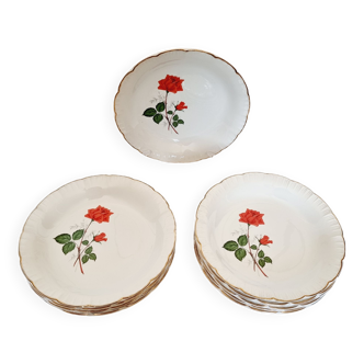 12 assiettes creuses porcelaine française digoin&sarreguemines modèle "sévigné" 22cm