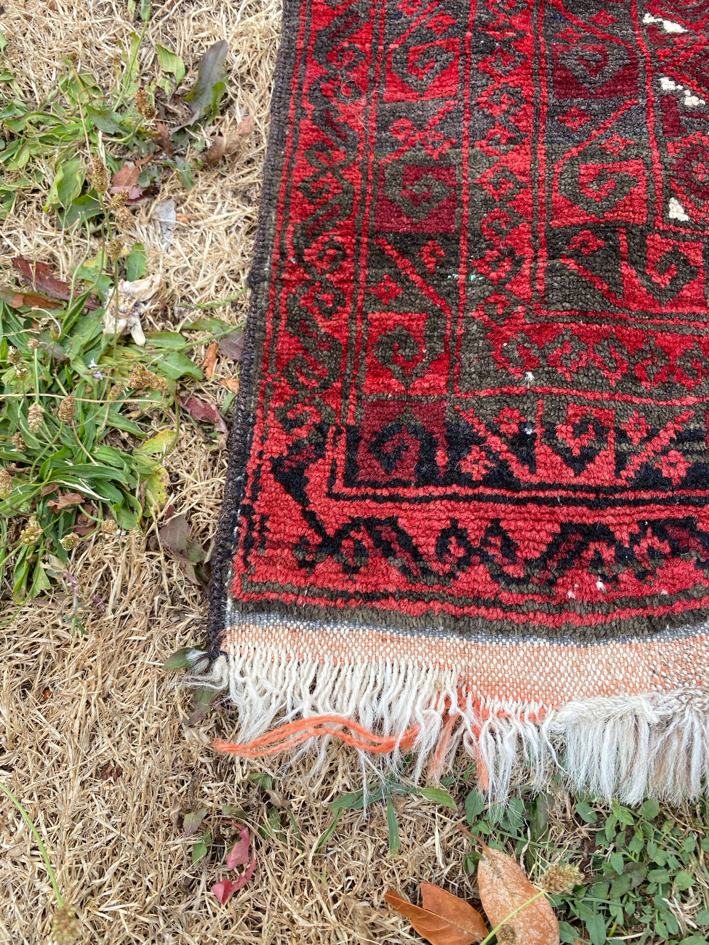 Afghan carpet