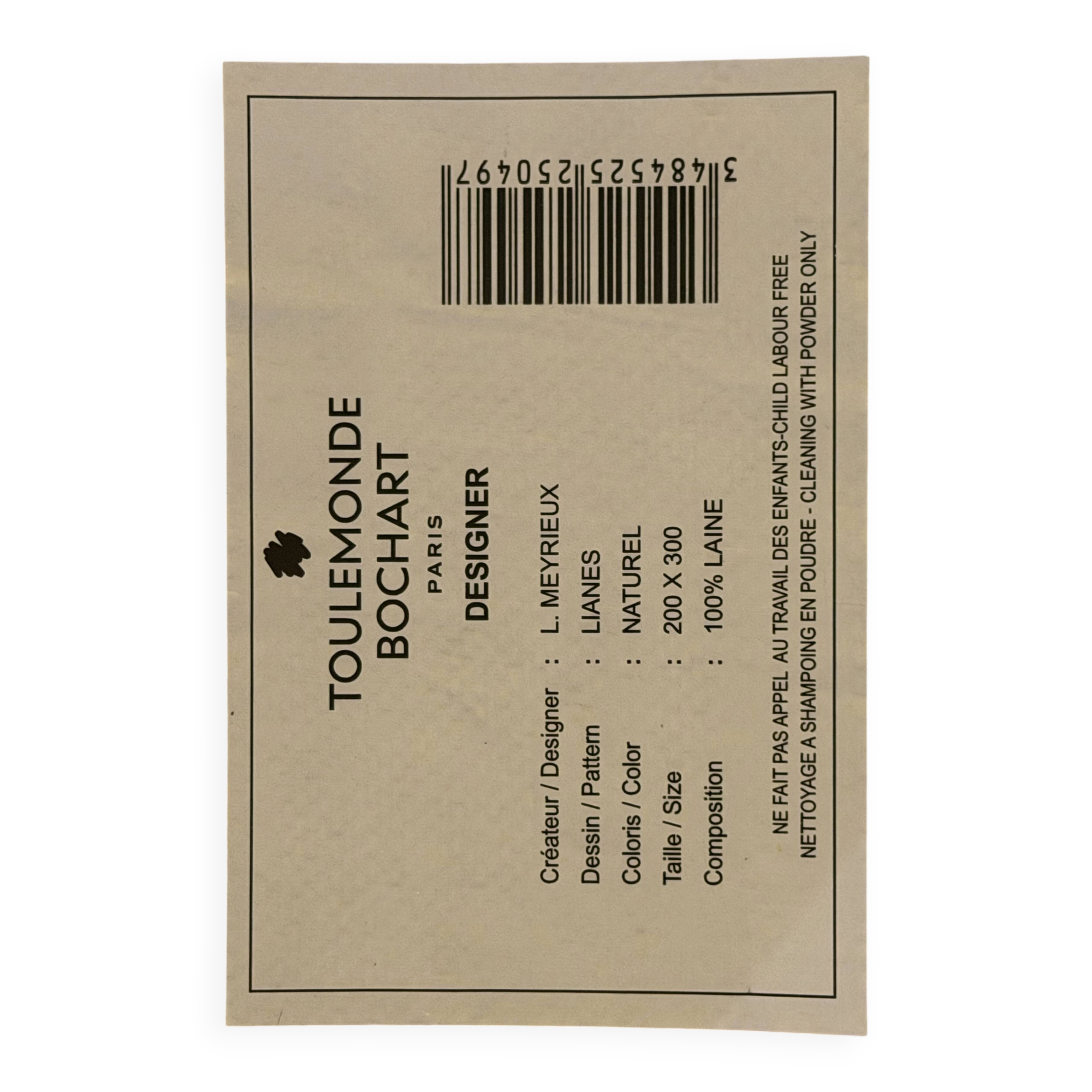 Modern Carpet TOULEMONDE BOCHART