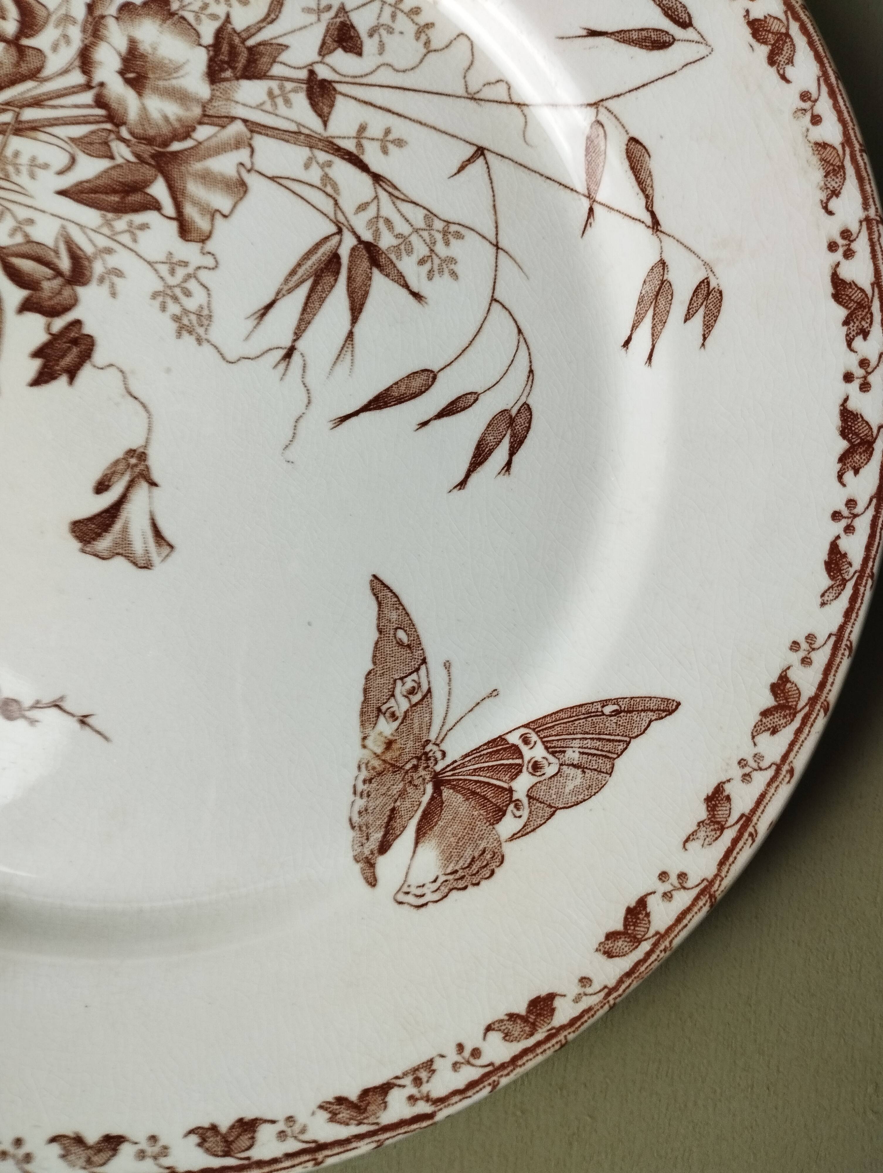 "Carmen" - Set of flat plates Ø 22.5cm ironstone Sarreguemines U&C