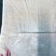 Pair of vintage beige velvet chairs