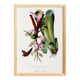 Poster on "Hummingbird and Exotic Plant", based on an old engraving