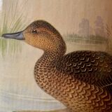 Old enameled sheet metal umbrella stand - duck decoration