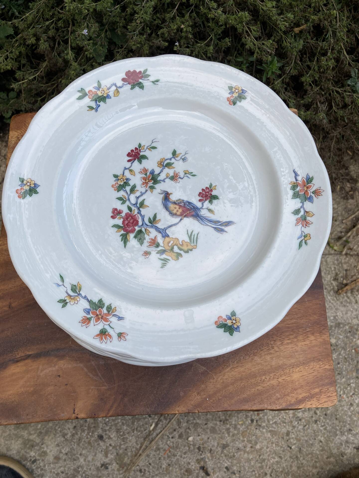 Sarreguemines plates paradise birds / Phoenix
