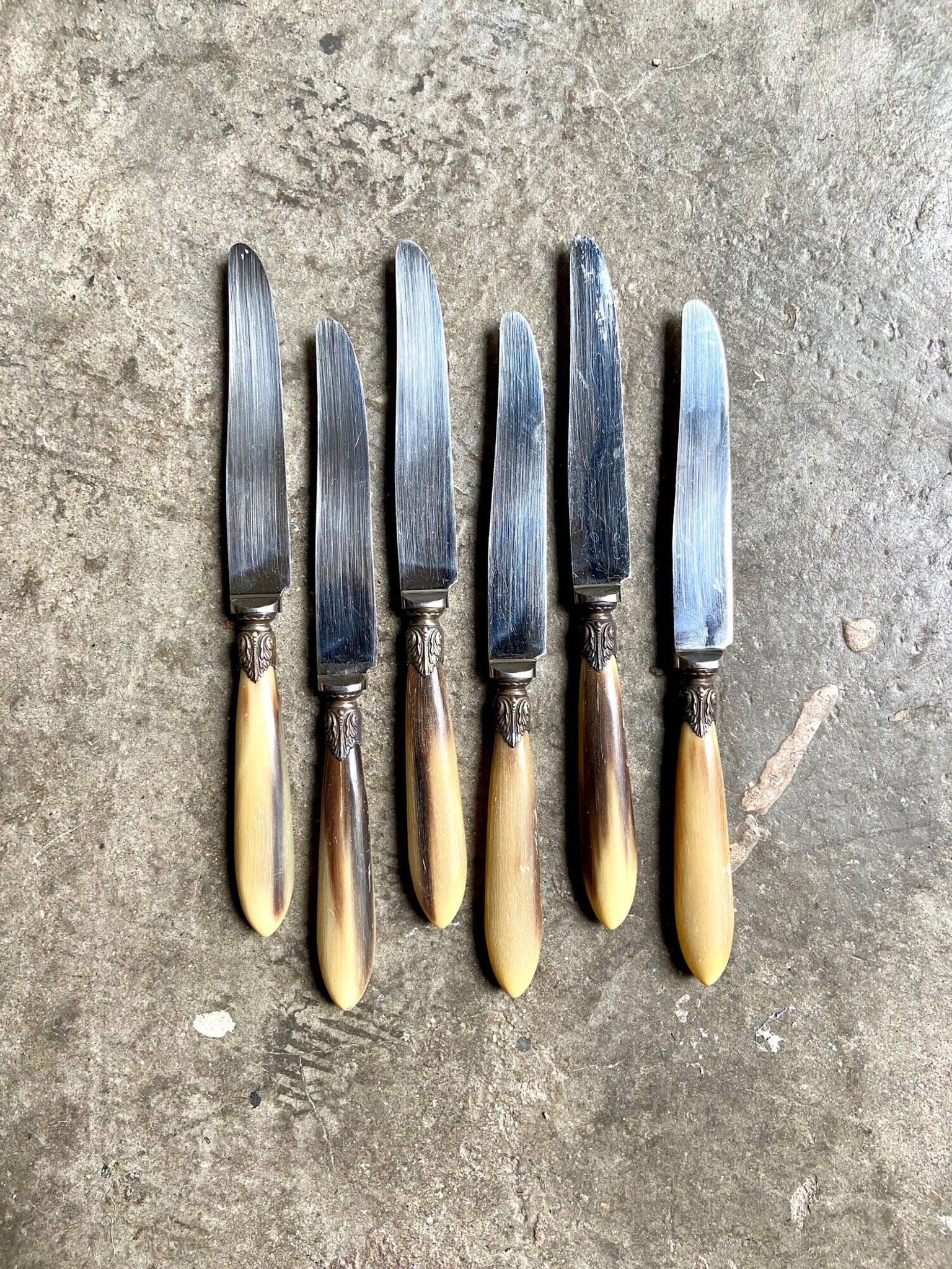 6 La Trompette knives in beige and stainless steel horn