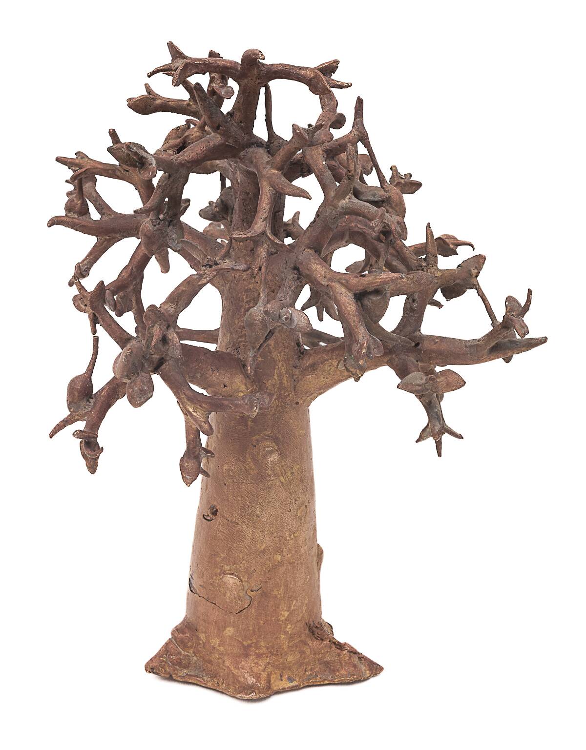 Bronze baobab