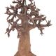 Bronze baobab