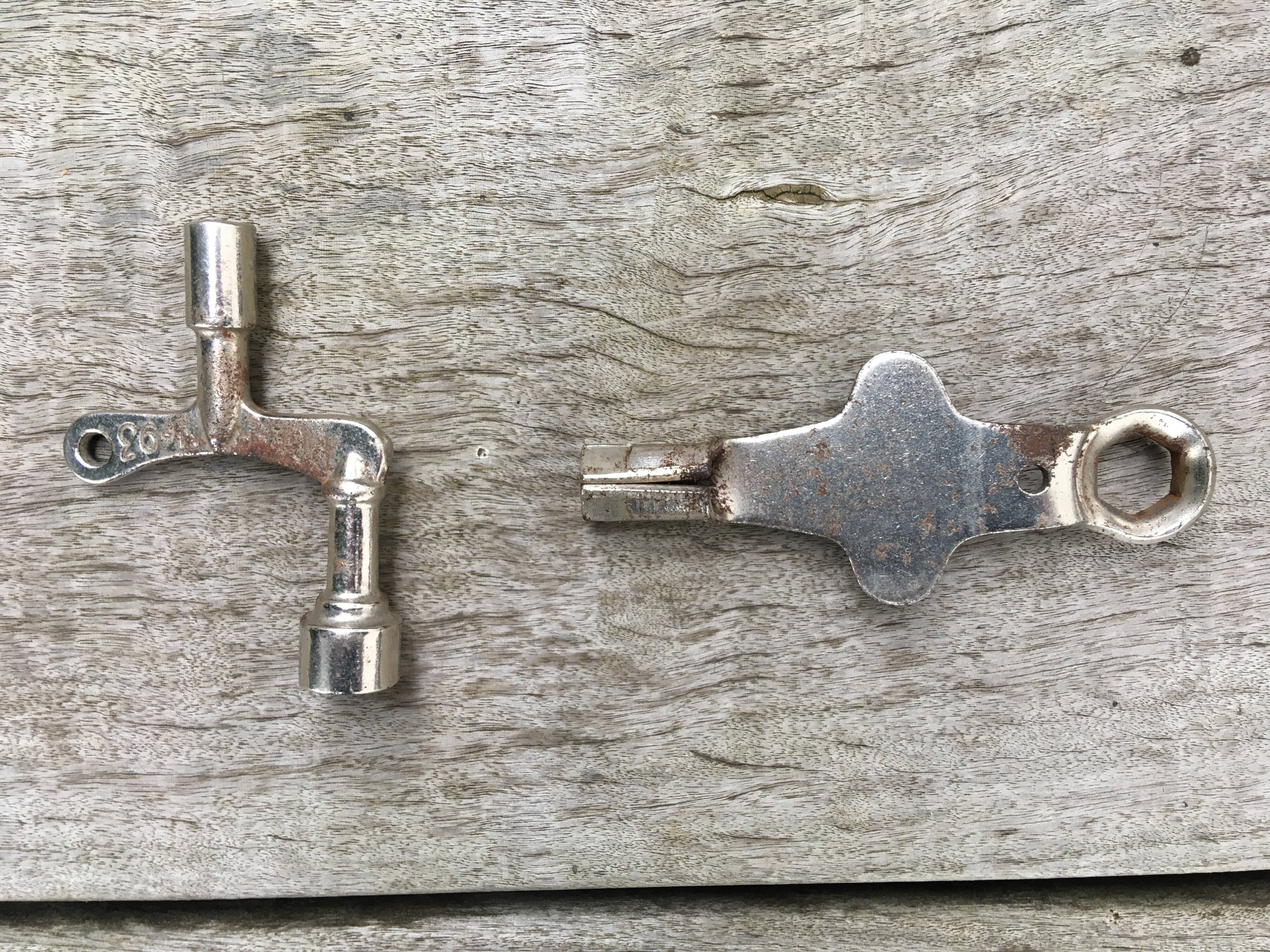 Pair of Polar/Gloria roller skates