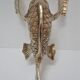 Sculptural brass fish from the 70s