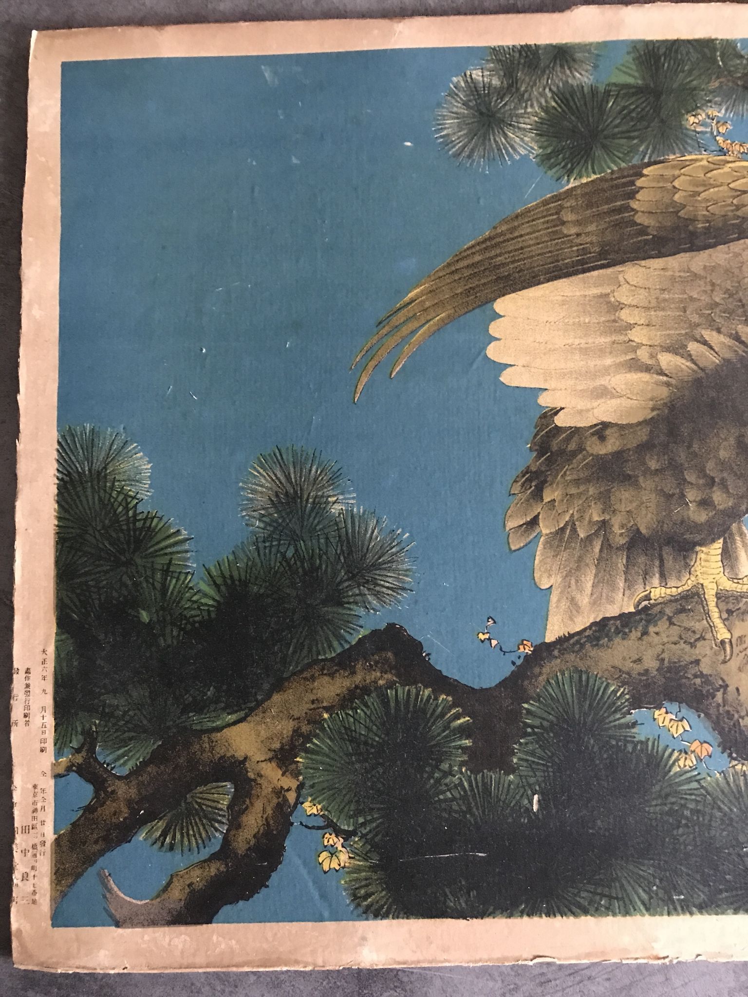 Ancienne estampe d’asie à décor polychrome d’aigle sur une branche xixème