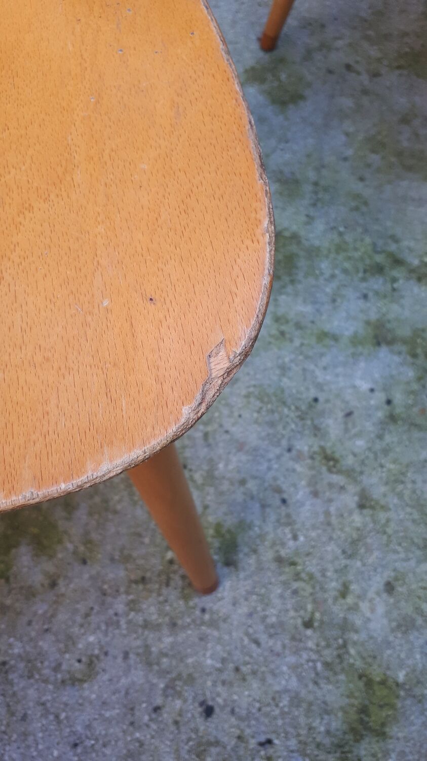 Pair of Ant chairs by Baumann