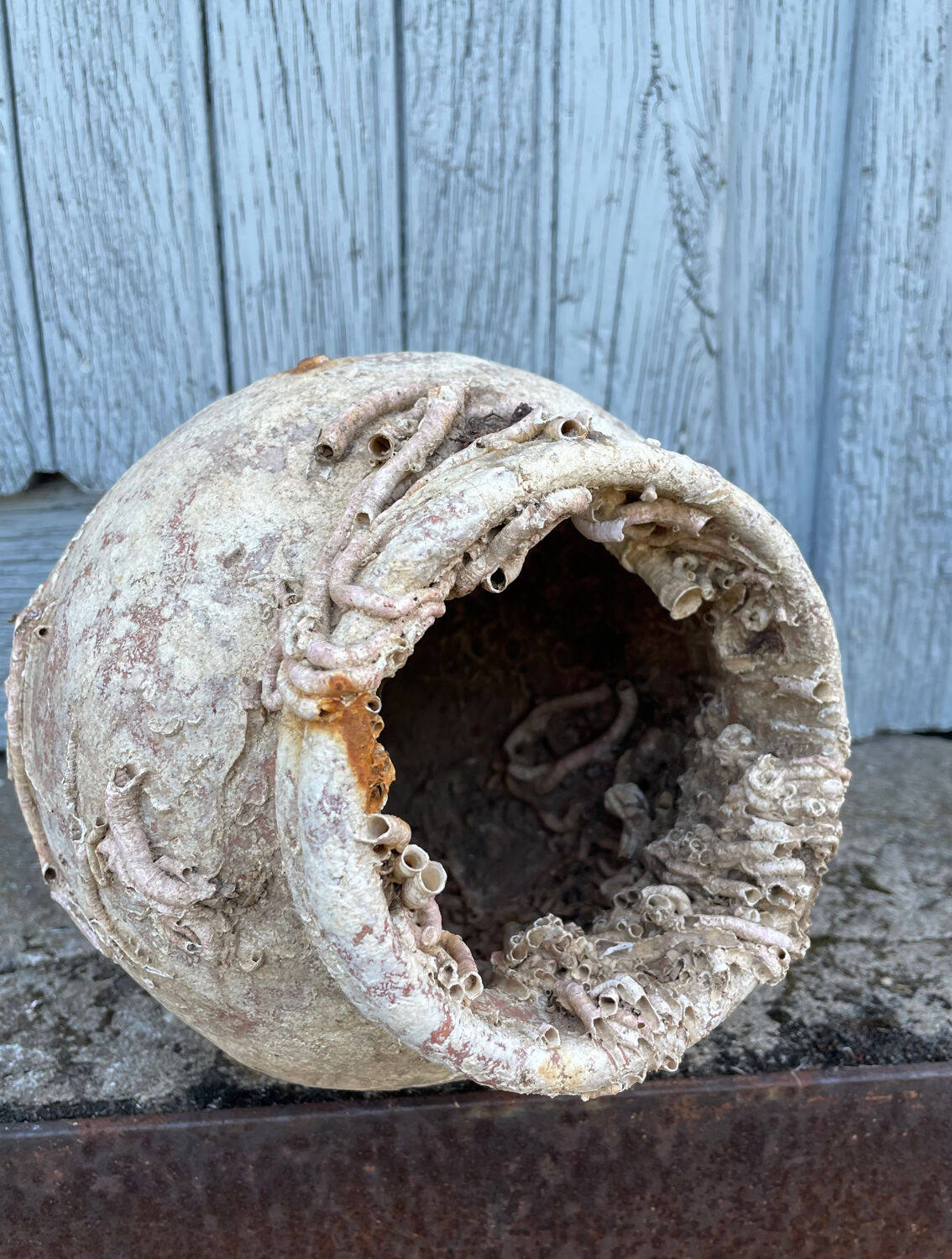 Terracotta octopus trap from the 19th century