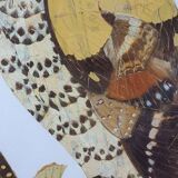 Bird Butterfly Table