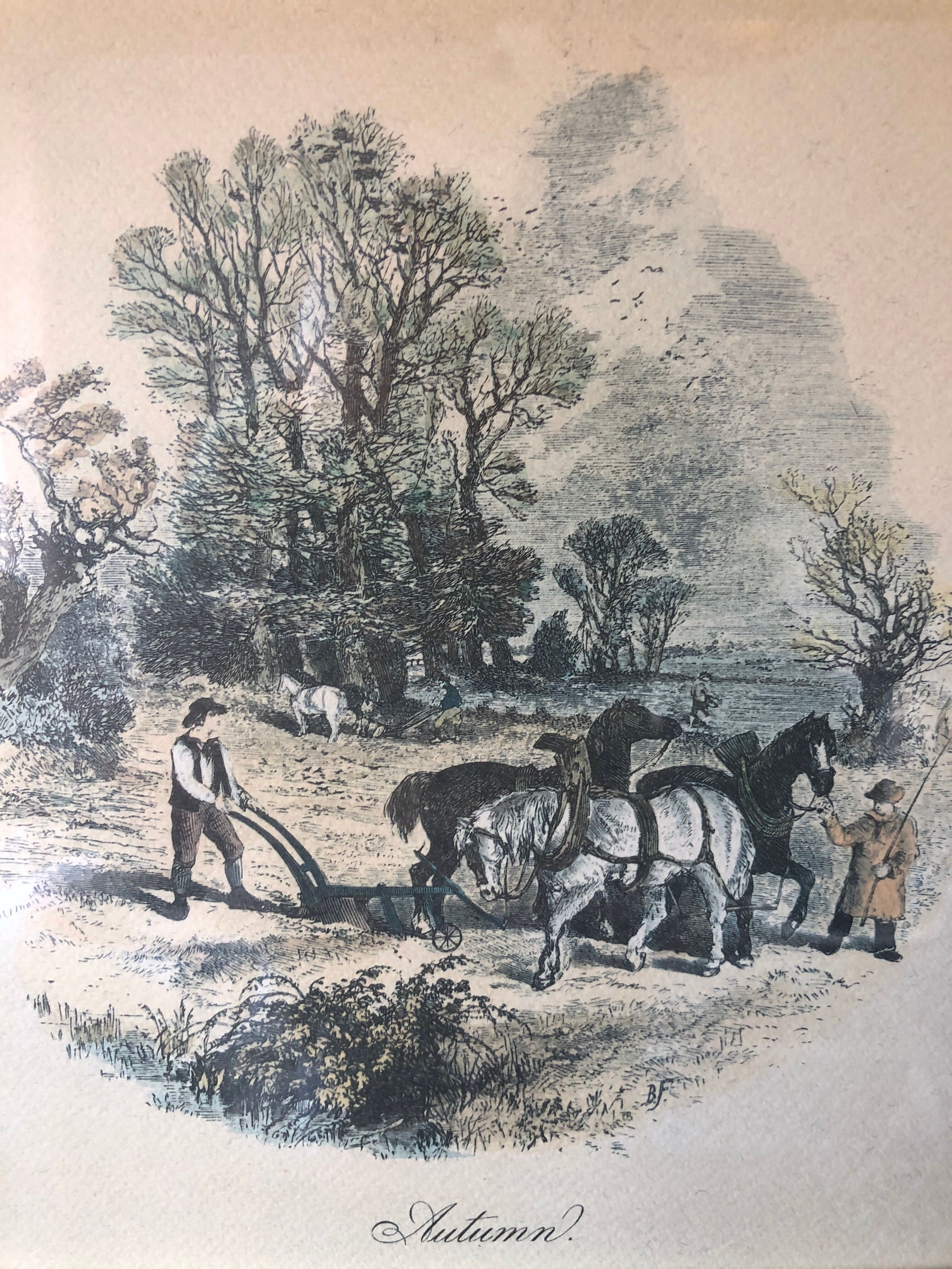 Set of 4 framed antique prints - 4 seasons