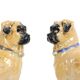Antique Couple Porcelain Pug Statue Sculpture Art Nouveau 1920