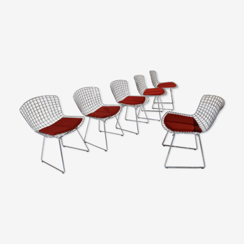 Set of 6 Bertoia chairs for Knoll