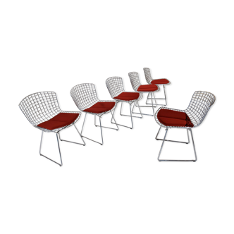 Set of 6 Bertoia chairs for Knoll