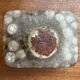 West German pottery box, fat lava WGP from the mid-century with lid, 1960s.