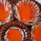 6 oyster plates Vallauris Marius Giuge