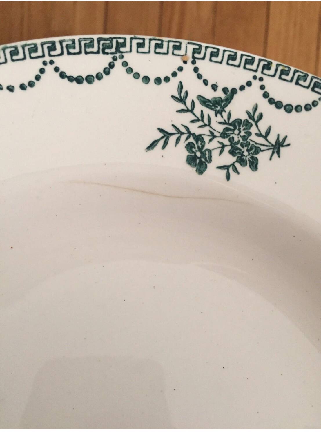 Ensemble de 9 assiettes Terre de fer fleurs vertes St Amand