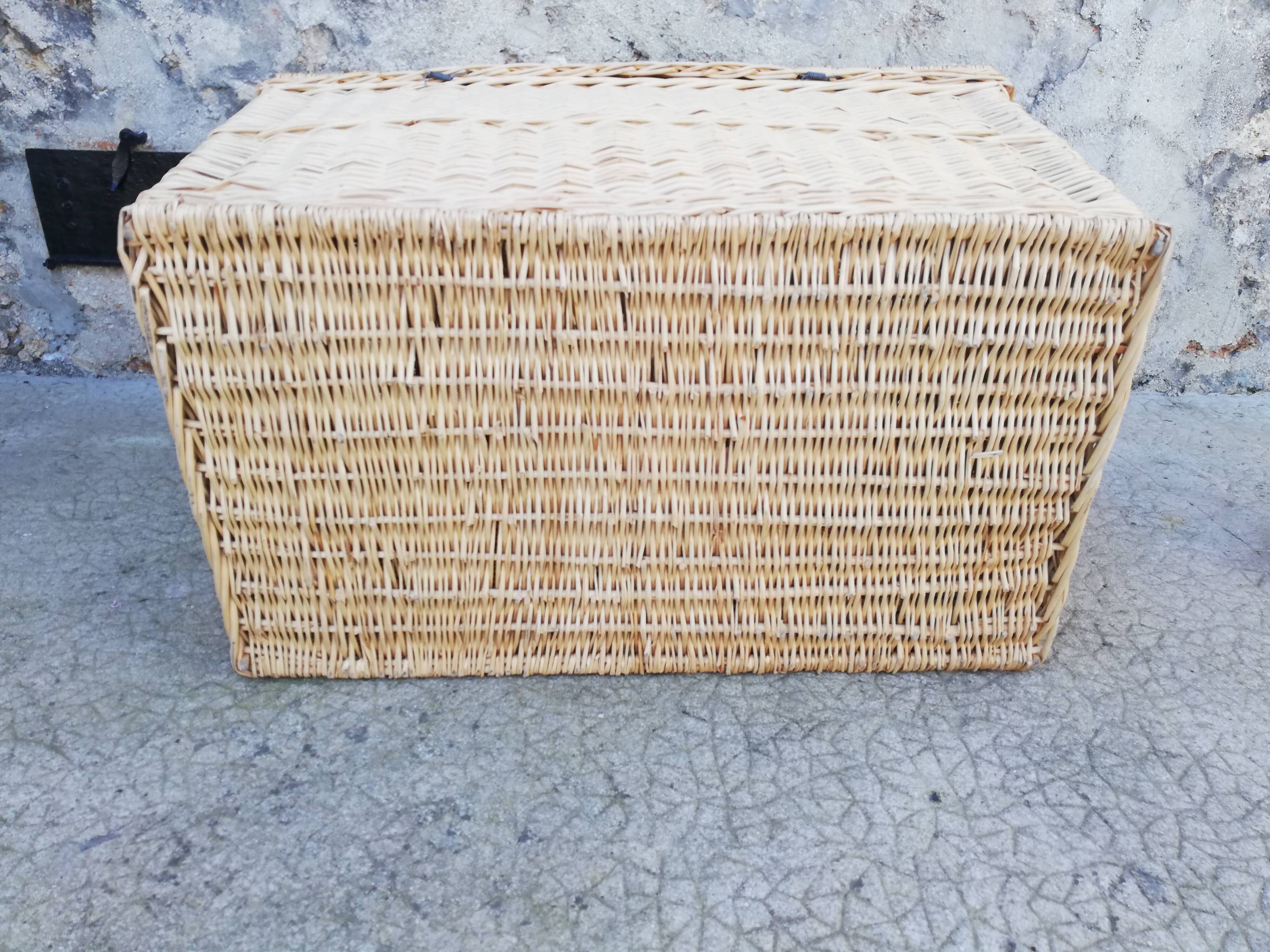 Wicker trunk