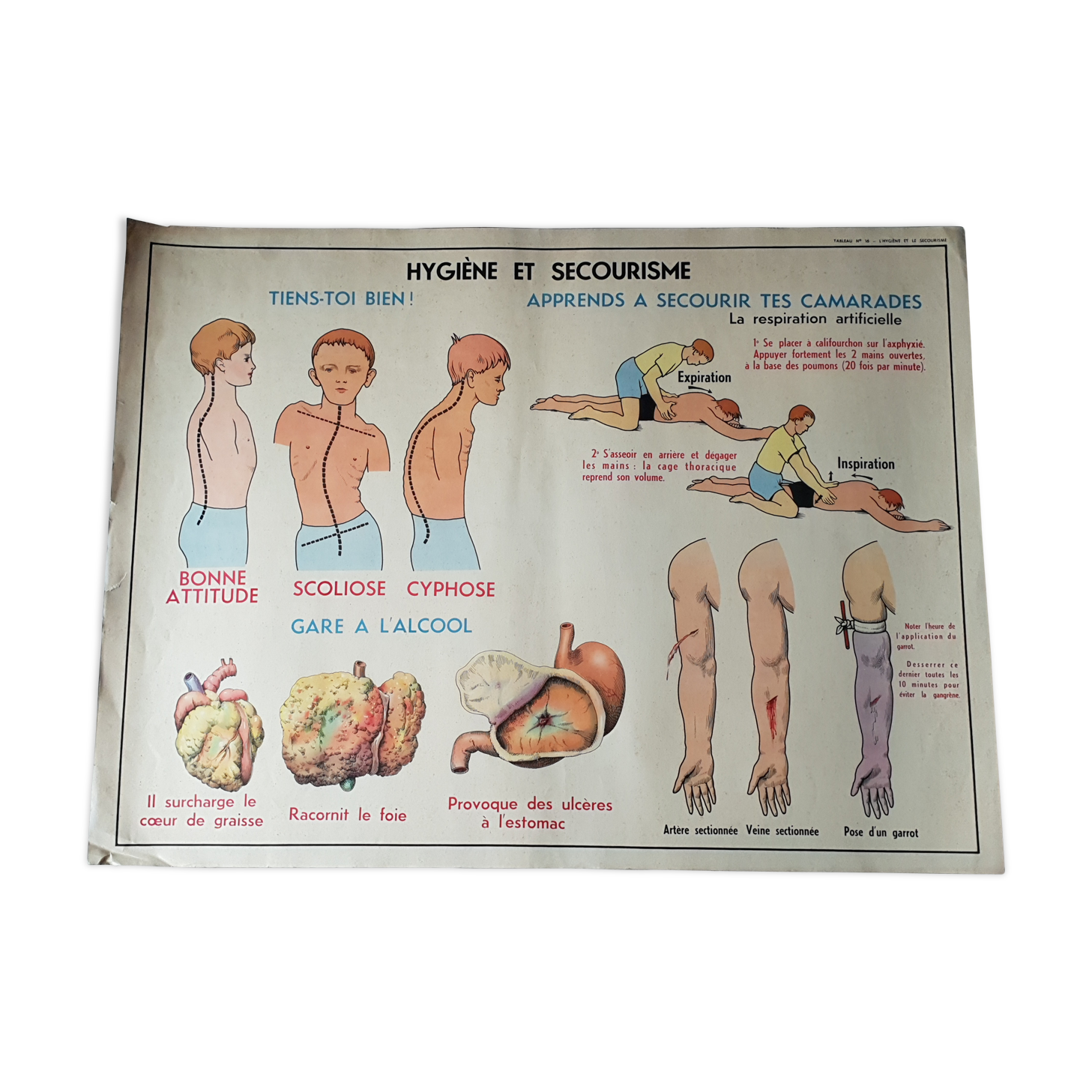 Poster school  excretion & hygiene first aid