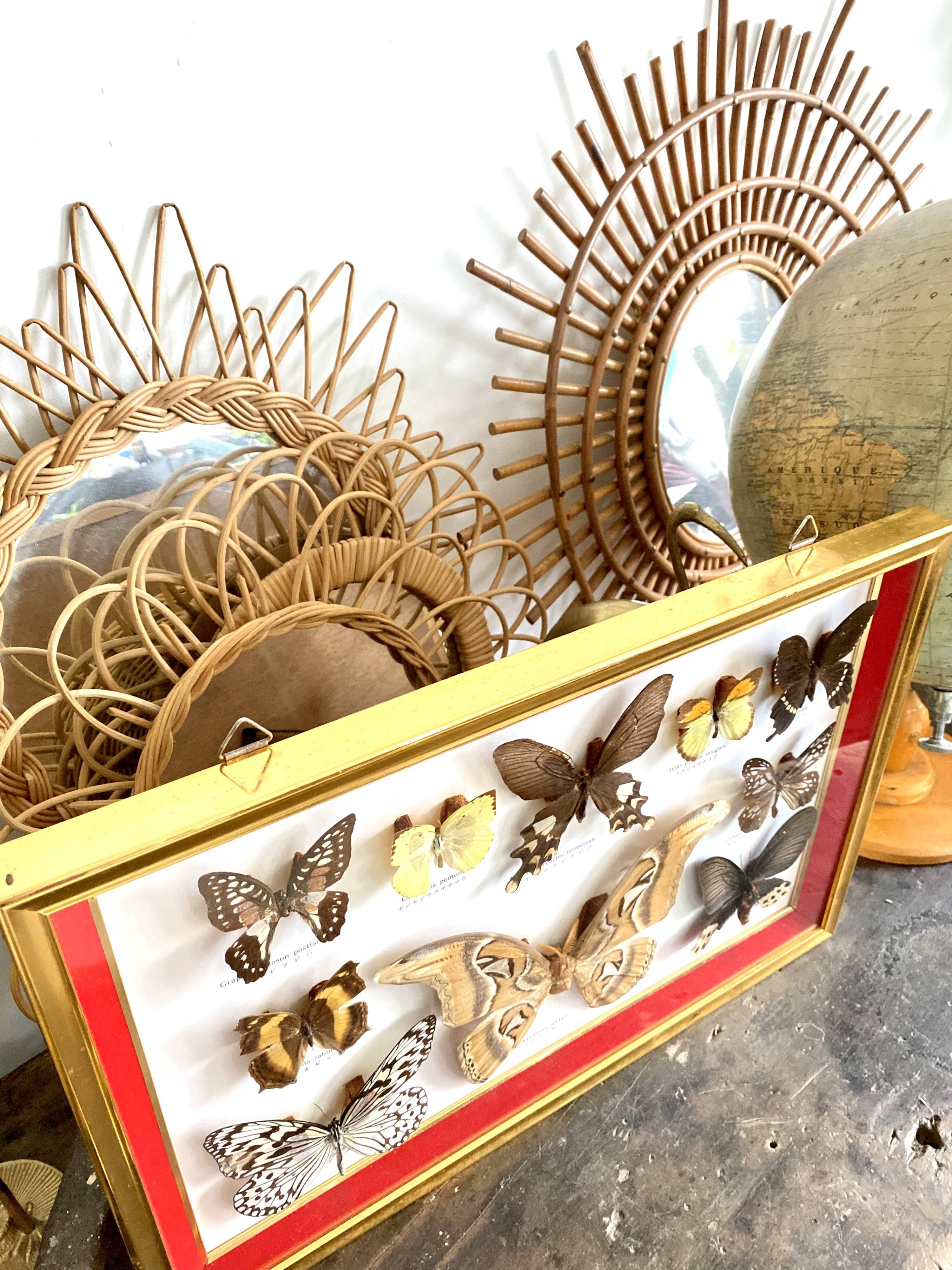 Naturalized butterfly frame