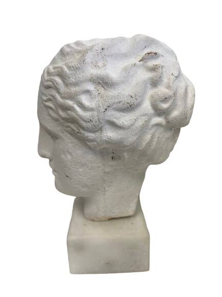 Stone head on marble base
