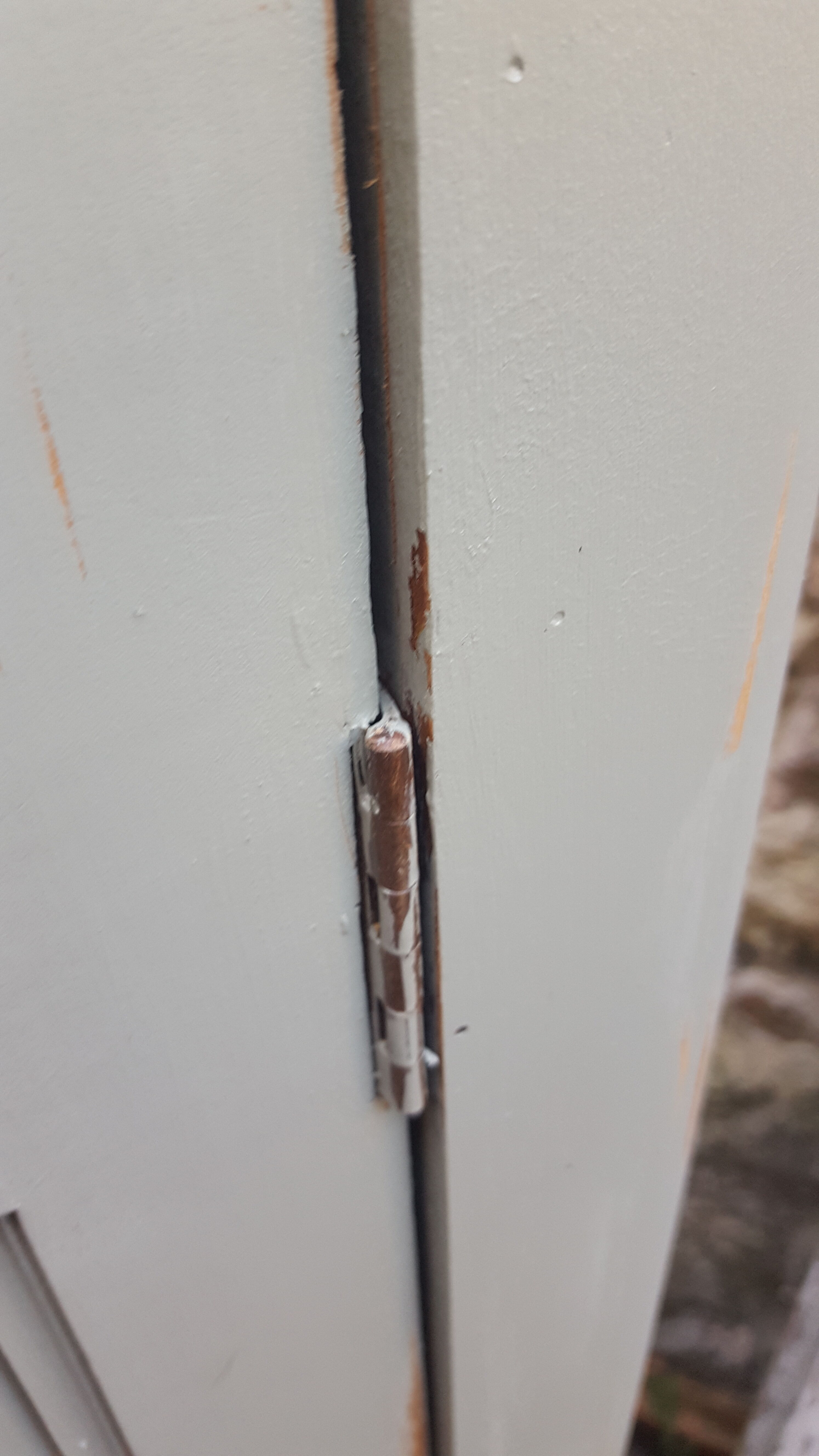 Paris wardrobe patina green guarigue