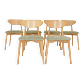 Dining room chairs set of 6 sage green Scandinavian design