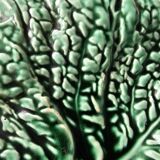 Ceramic bowl empty pocket green cabbage leaf Sarreguemines Years