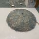 Large Murano Glass Flower Flushmount by Seguso 1960’s