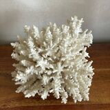 White coral bouquet