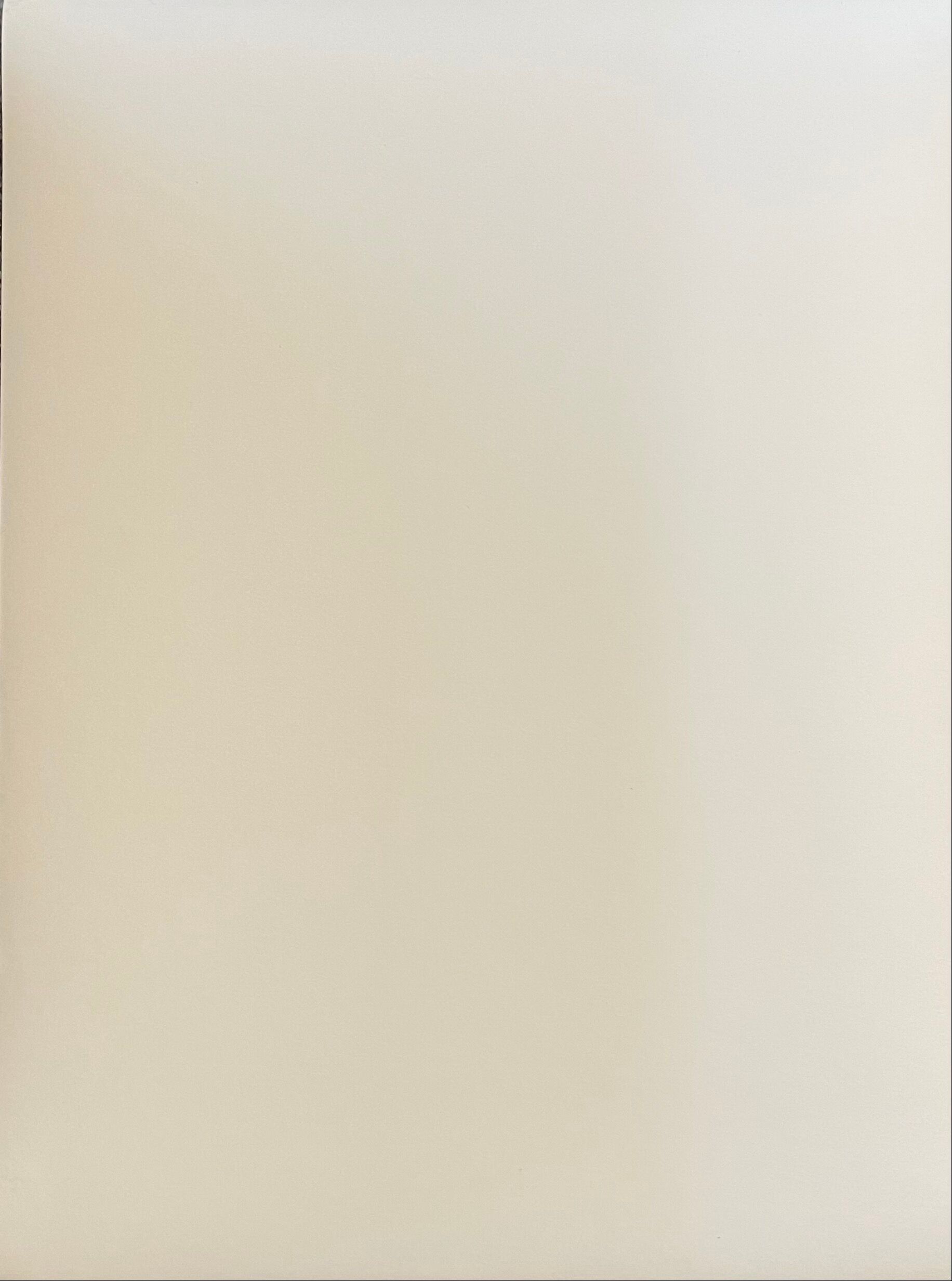 Photograph black and white silver print circa 1970 architecture