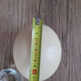 Œuf d’Autruche vide avec support