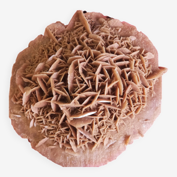 Sand rose in the shape of a cake