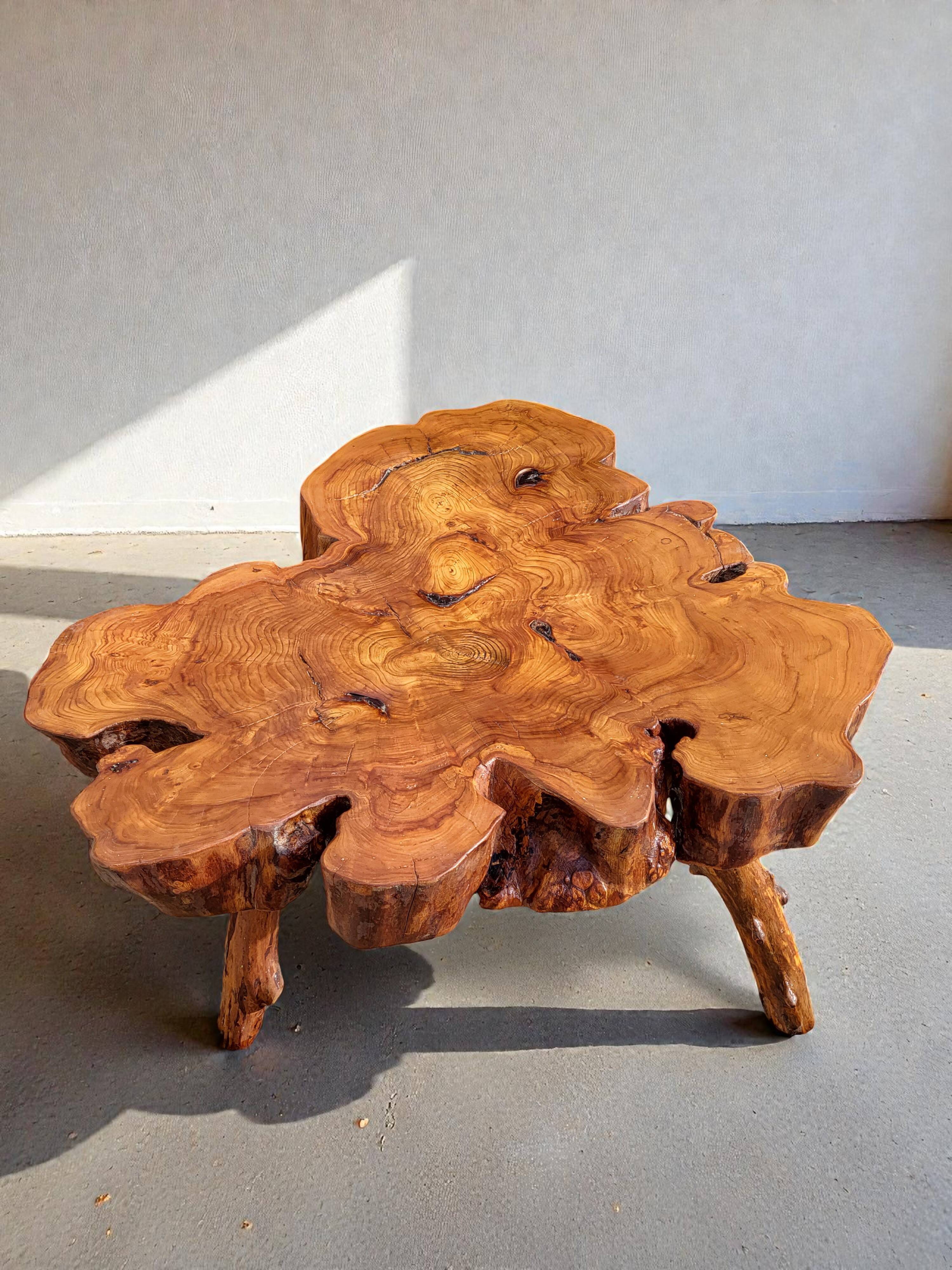 Olive root coffee table in brutalist style.
