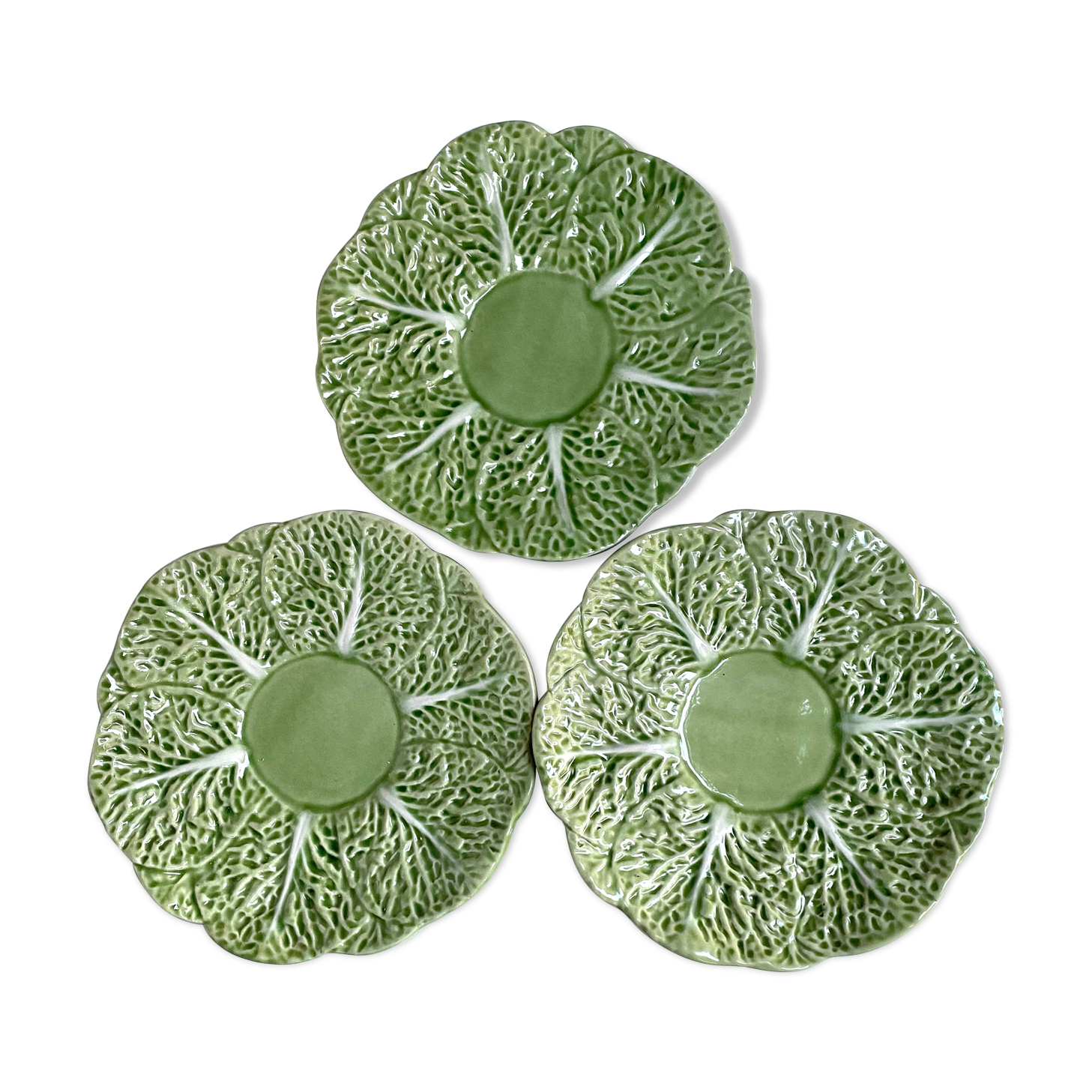 Flat plates in cabbage leaf slurry