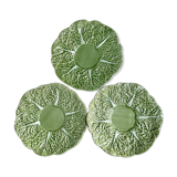 Flat plates in cabbage leaf slurry