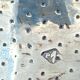 Two rounds of fine nineteenth silver towels louis xvi minerve style